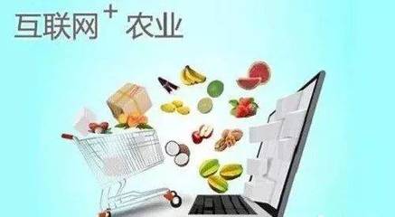 融合食品互联网 休闲农业的13种创意新模式探索