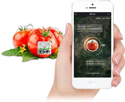 农业+大数据 智慧化与互联网化，如何重塑从农田到餐桌的未来